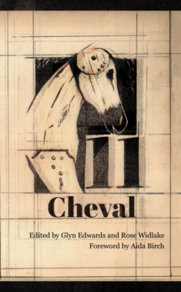 Call for entries: The Terry Hetherington Prize 2019 / Cheval 12