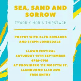 Upcoming Readings: Llawn / Swansea